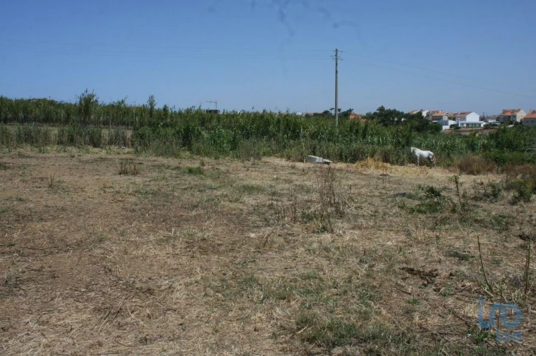 Terreno para Venda em A dos Cunhados e Maceira Foto 5