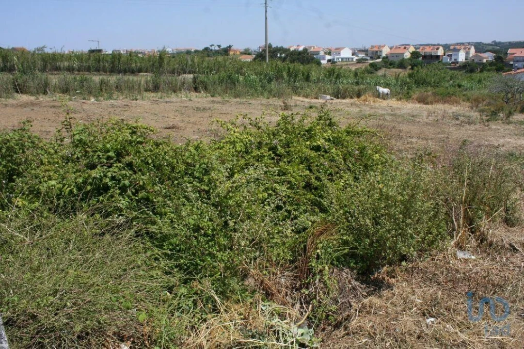 Terreno para Venda em A dos Cunhados e Maceira Foto 3