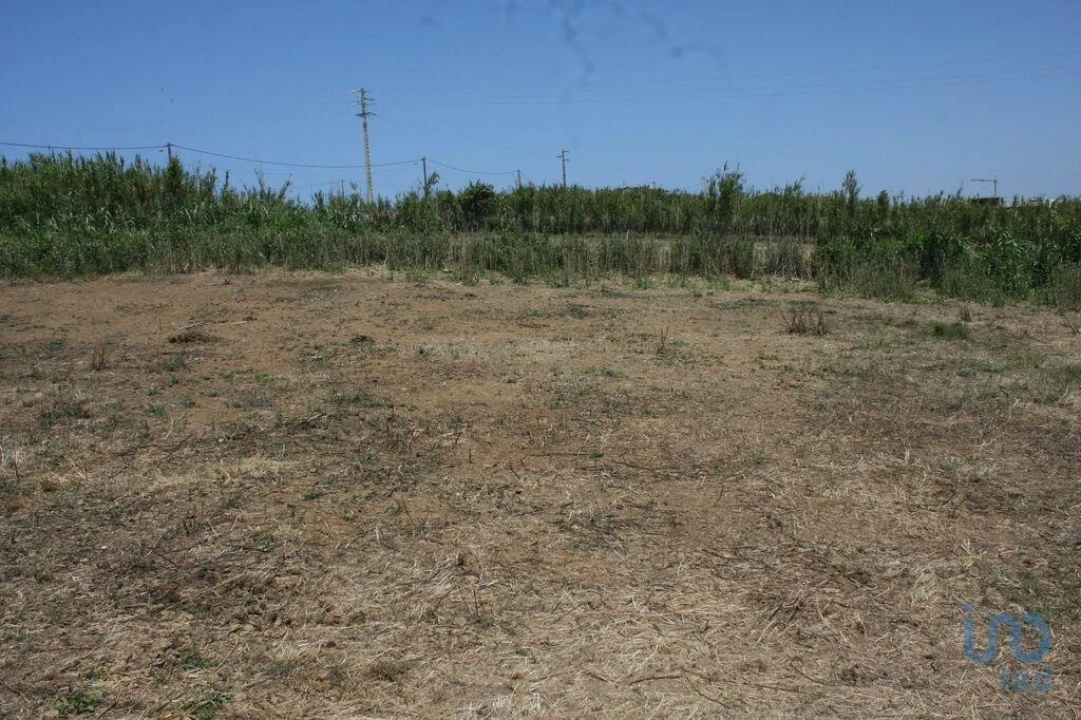 Terreno para Venda em A dos Cunhados e Maceira Foto 10