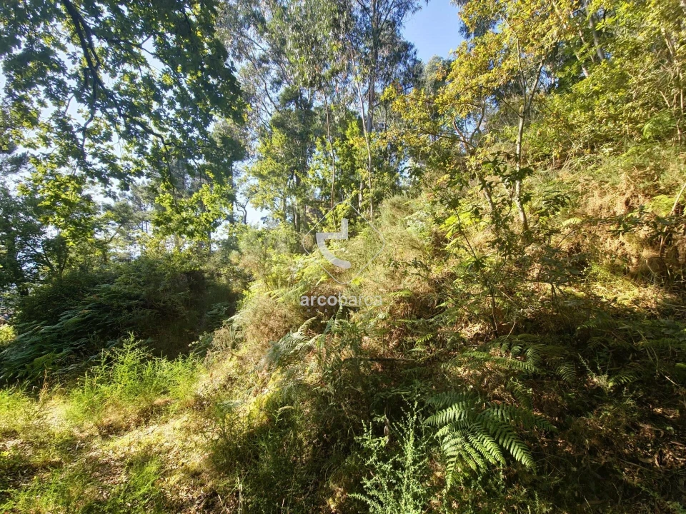 Terreno para Venda em Ponte da Barca, V.N. Muía, Paço Vedro Magalhães Foto 6