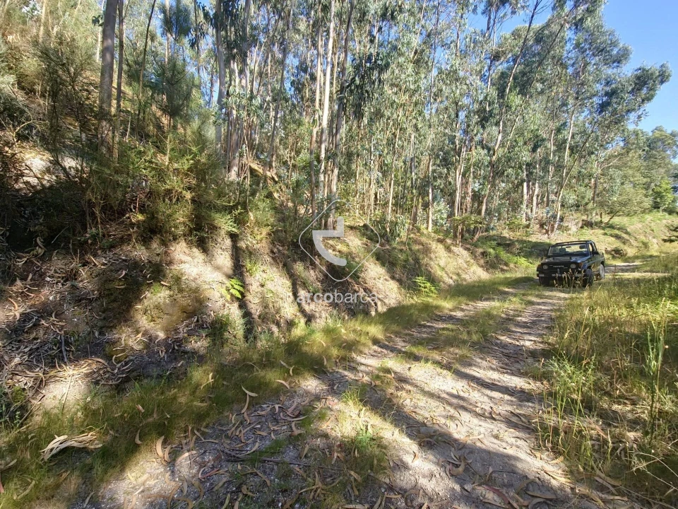 Terreno para Venda em Ponte da Barca, V.N. Muía, Paço Vedro Magalhães Foto 1