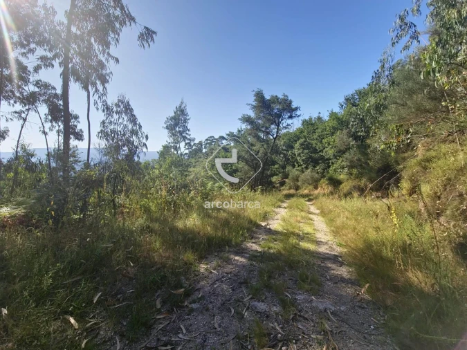 Terreno para Venda em Ponte da Barca, V.N. Muía, Paço Vedro Magalhães Foto 7