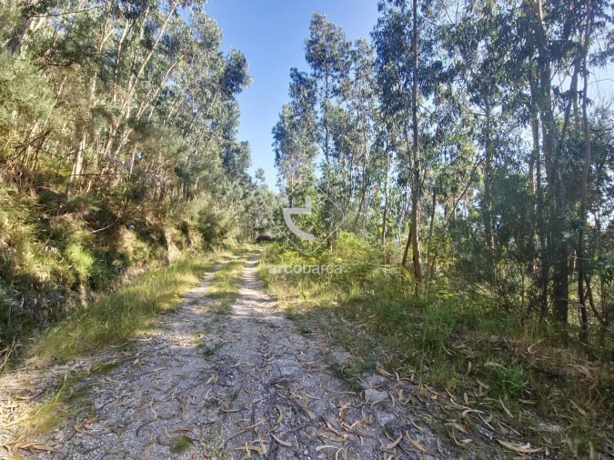 Terreno para Venda em Ponte da Barca, V.N. Muía, Paço Vedro Magalhães Foto 8