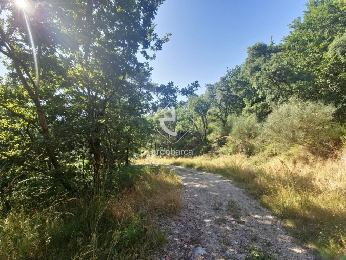 Terreno para Venda em Ponte da Barca, V.N. Muía, Paço Vedro Magalhães Foto 4