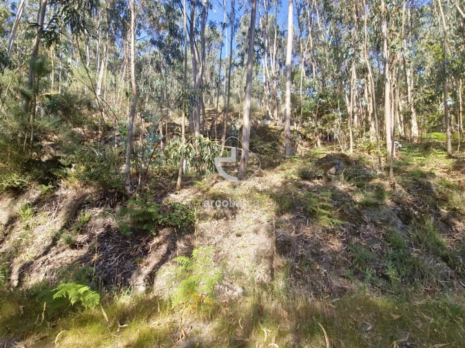 Terreno para Venda em Ponte da Barca, V.N. Muía, Paço Vedro Magalhães Foto 3