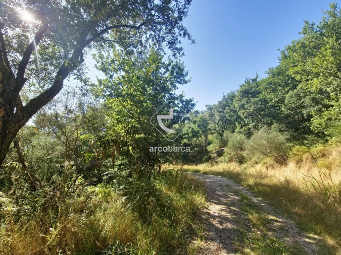 Terreno para Venda em Ponte da Barca, V.N. Muía, Paço Vedro Magalhães Foto 5