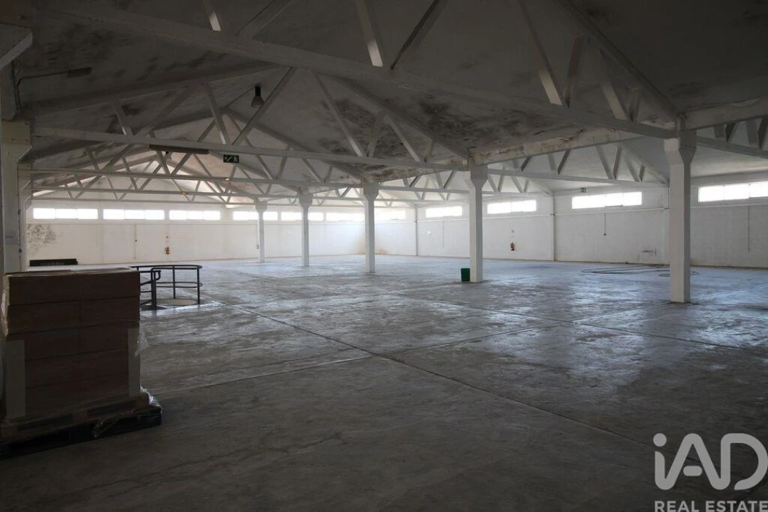 Armazém para Venda em Beja (Salvador e Santa Maria da Feira) Foto 19