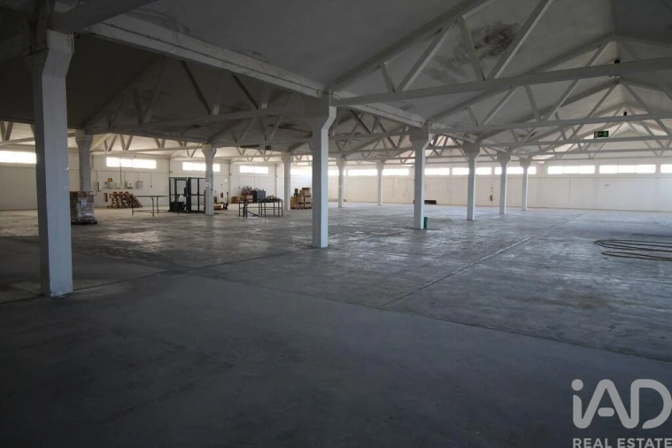 Negócio para Venda em Beja (Salvador e Santa Maria da Feira) Foto 20