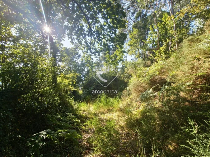Terreno para Venda em Ponte da Barca, V.N. Muía, Paço Vedro Magalhães Foto 1