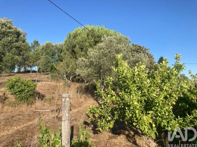 Moradia T5 para Venda em Cardigos Foto 24