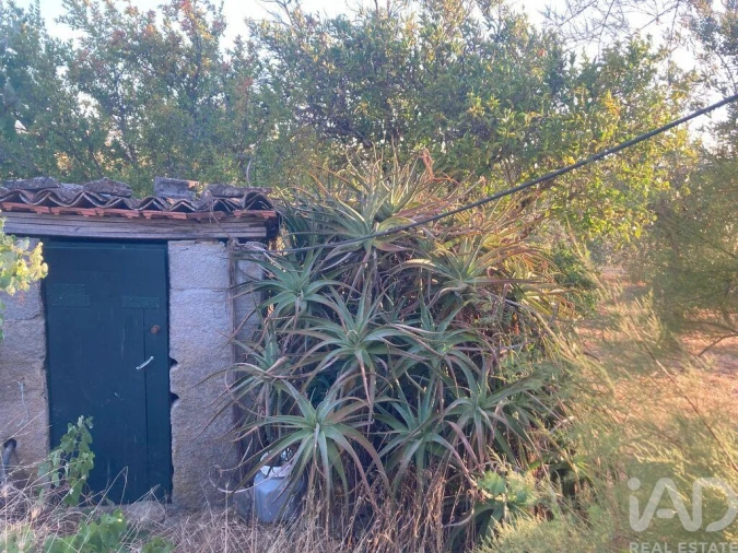 Moradia T5 para Venda em Cardigos Foto 32