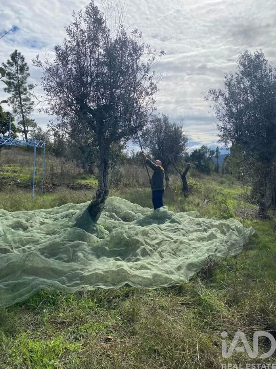 Moradia T5 para Venda em Cardigos Foto 17