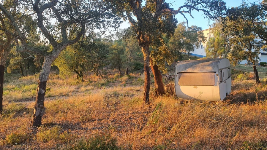 Terreno para Venda em Igreja Nova do Sobral Foto 4