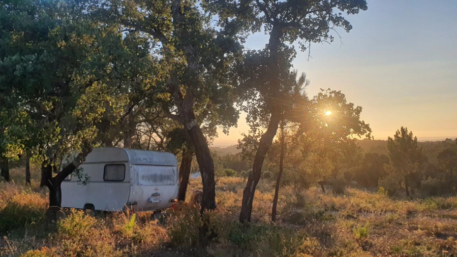 Terreno para Venda em Igreja Nova do Sobral Foto 24