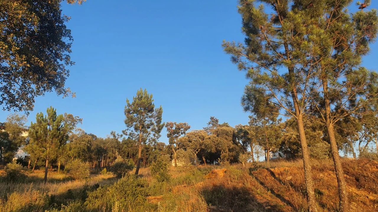 Terreno para Venda em Igreja Nova do Sobral Foto 29