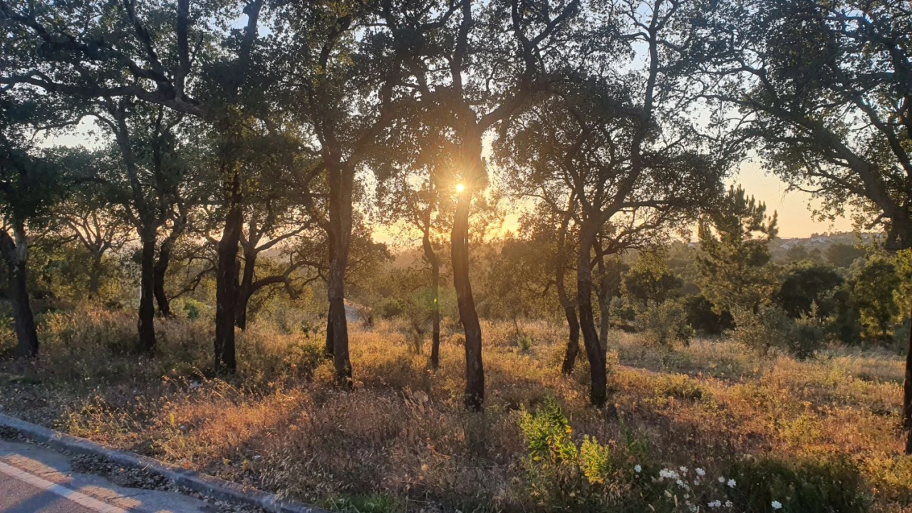 Terreno para Venda em Igreja Nova do Sobral Foto 22