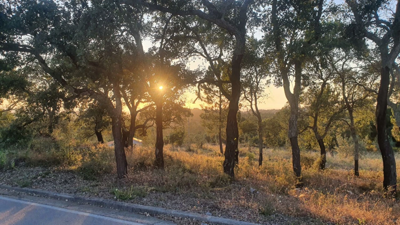 Terreno para Venda em Igreja Nova do Sobral Foto 17