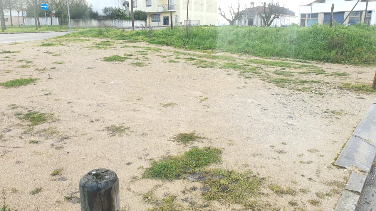 Terreno para Venda em Nossa Senhora do Pranto Foto 6