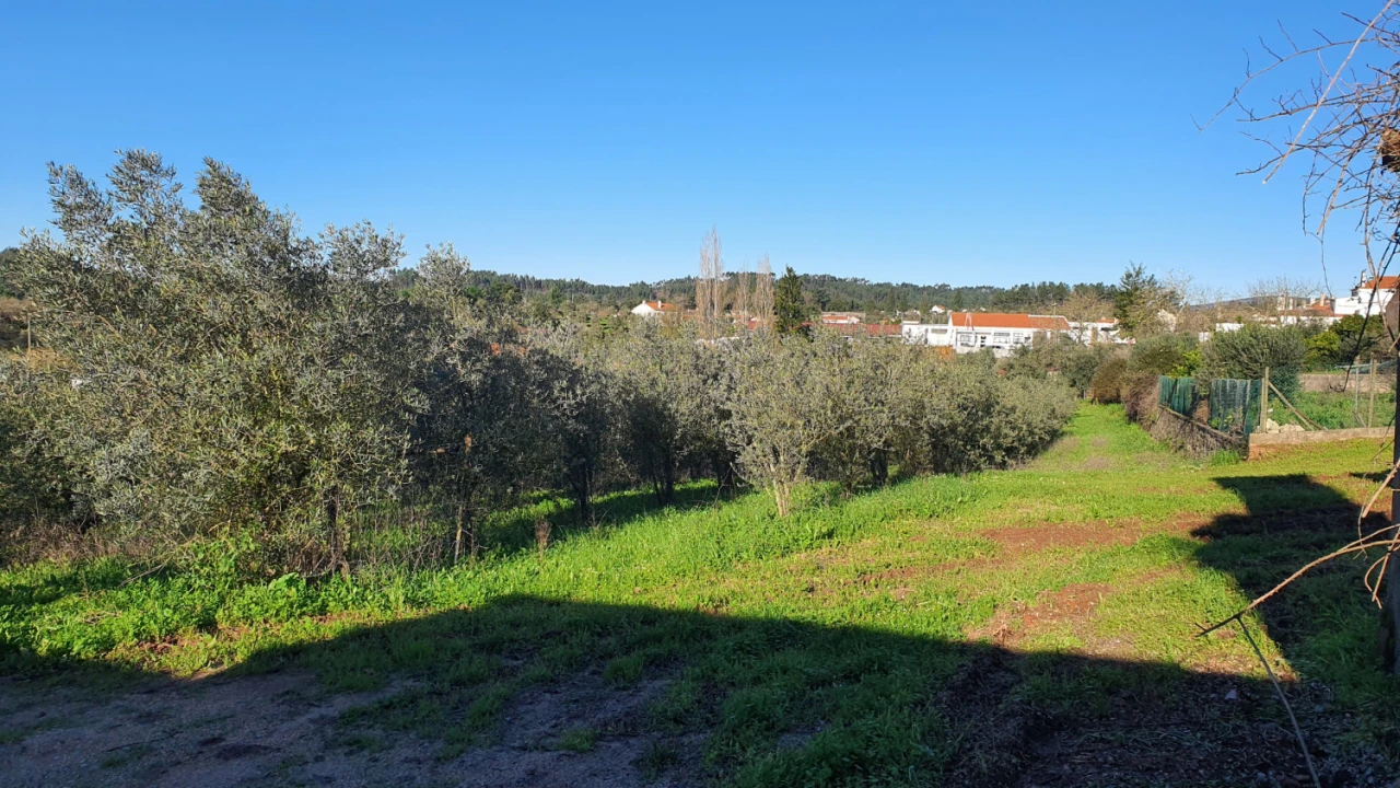 Moradia T0 para Venda em Areias e Pias Foto 10