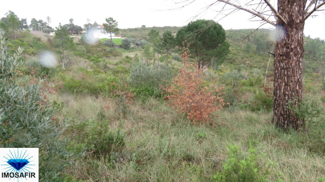 Terreno para Venda em Madalena e Beselga Foto 8