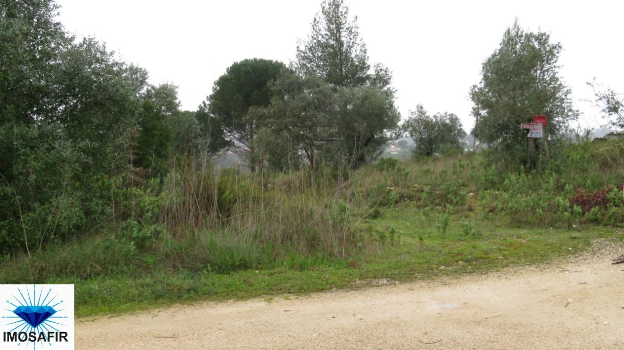 Terreno para Venda em Madalena e Beselga Foto 9