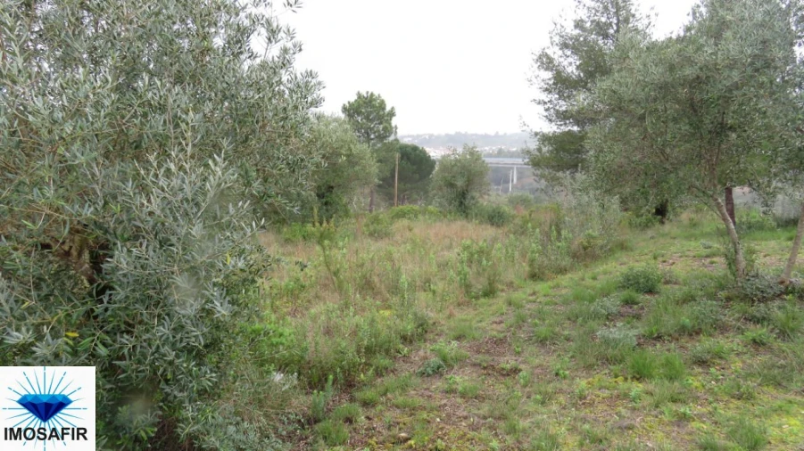 Terreno para Venda em Madalena e Beselga