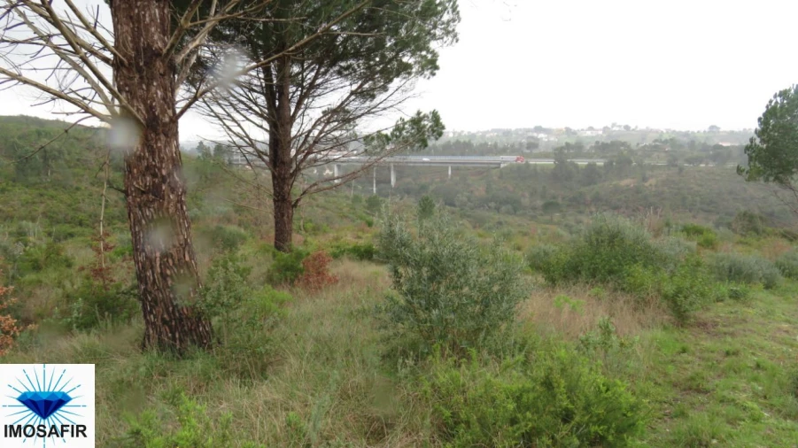 Terreno para Venda em Madalena e Beselga Foto 5