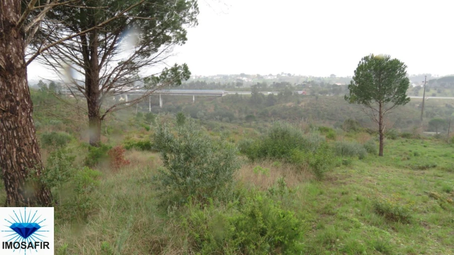 Terreno para Venda em Madalena e Beselga Foto 6