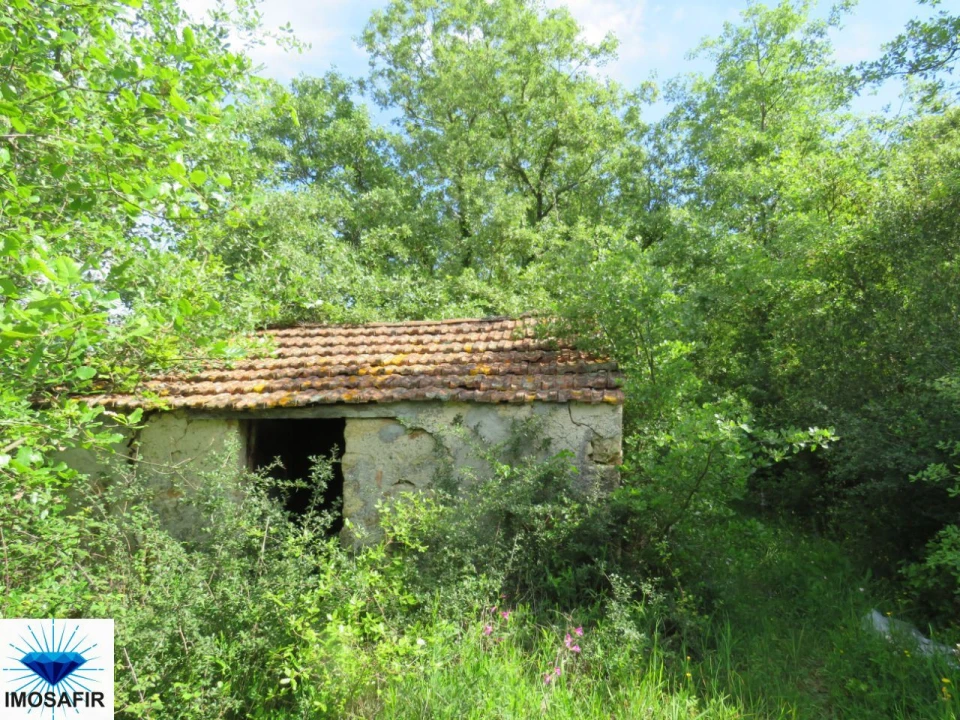 Terreno para Venda em Alvaiázere Foto 7