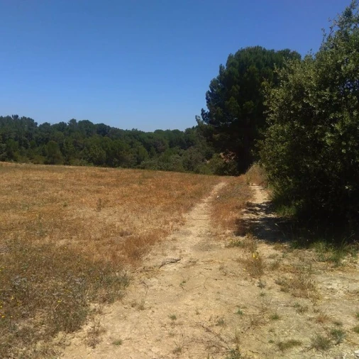 Terreno para Venda em Madalena e Beselga Foto 6