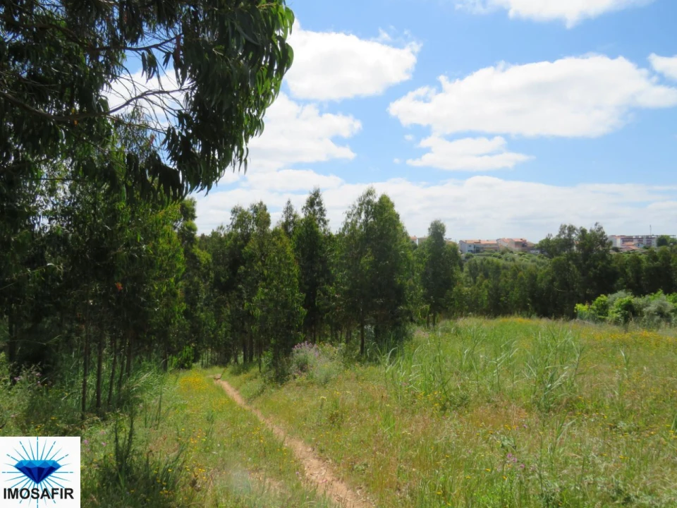 Terreno para Venda em Tavarede Foto 12
