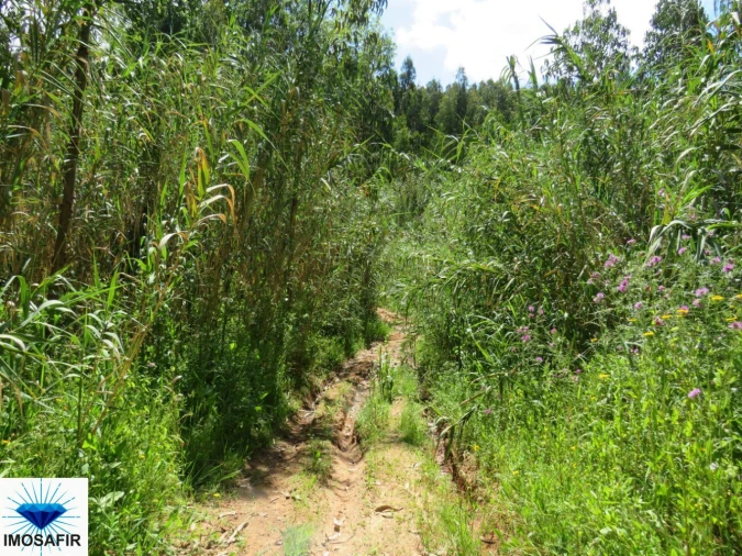 Terreno para Venda em Tavarede Foto 5