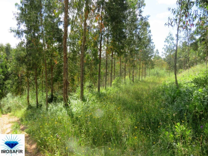 Terreno para Venda em Tavarede Foto 7