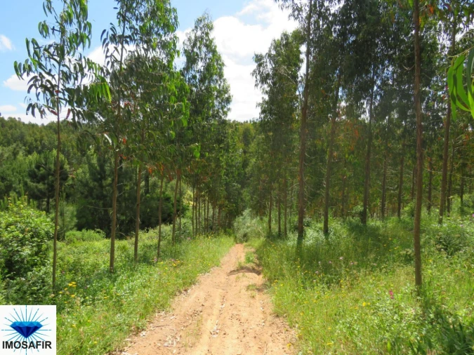 Terreno para Venda em Tavarede Foto 13