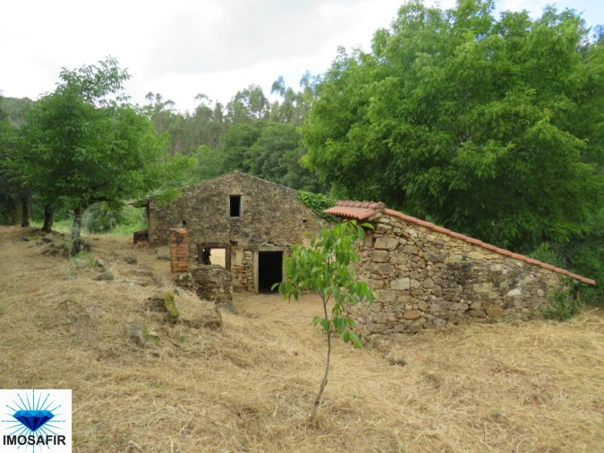 Moradia T0 para Venda em Madalena e Beselga Foto 2
