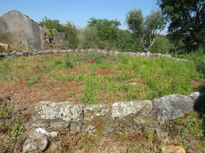 Quinta T0 para Venda em São João Baptista e Santa Maria dos Olivais Foto 5