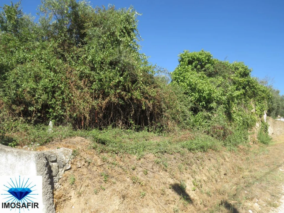 Moradia T0 para Venda em São João Baptista e Santa Maria dos Olivais Foto 1