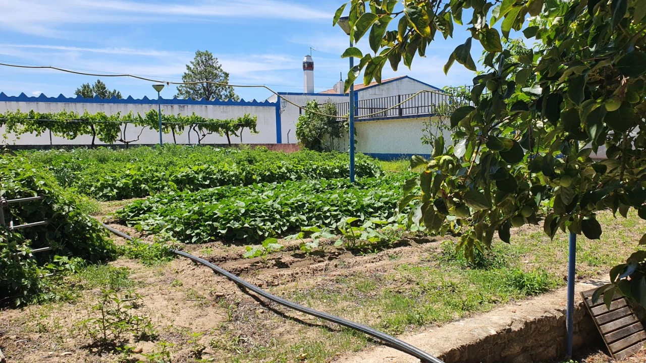 Quinta T7 para Venda em Marvila, Ribeira Santarém, São Salvador, São Nicolau Foto 32