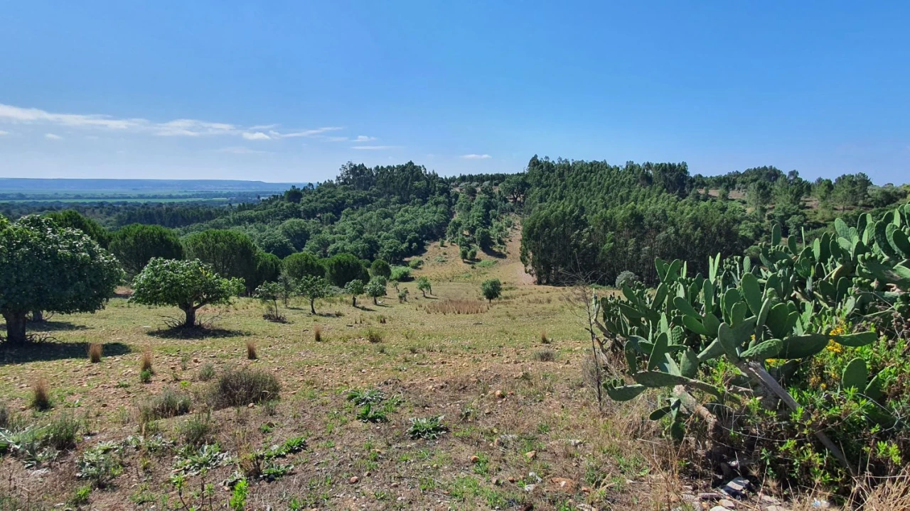 Quinta T7 para Venda em Marvila, Ribeira Santarém, São Salvador, São Nicolau Foto 56
