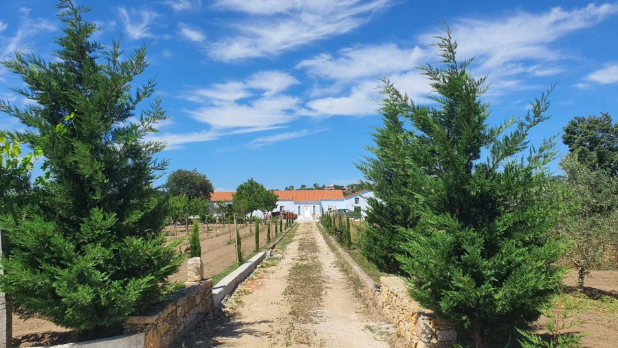 Moradia T6 para Venda em São João Baptista e Santa Maria dos Olivais Foto 35