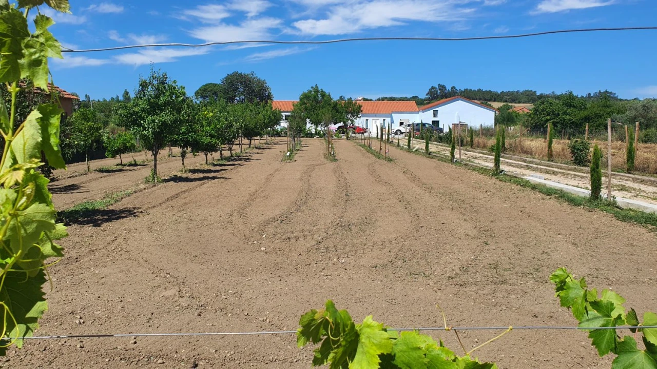 Moradia T6 para Venda em São João Baptista e Santa Maria dos Olivais Foto 36