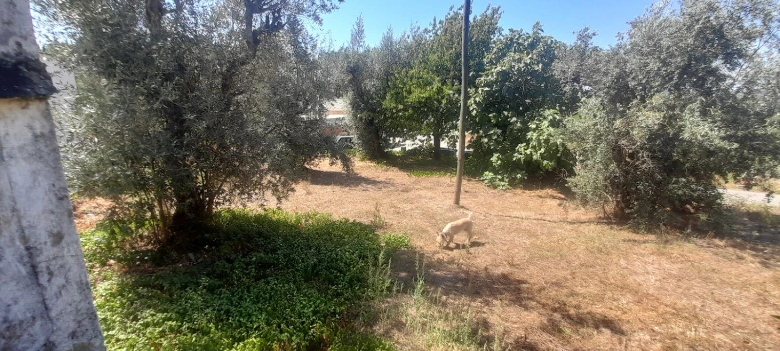 Moradia T3 para Venda em Mação, Penhascoso e Aboboreira Foto 4