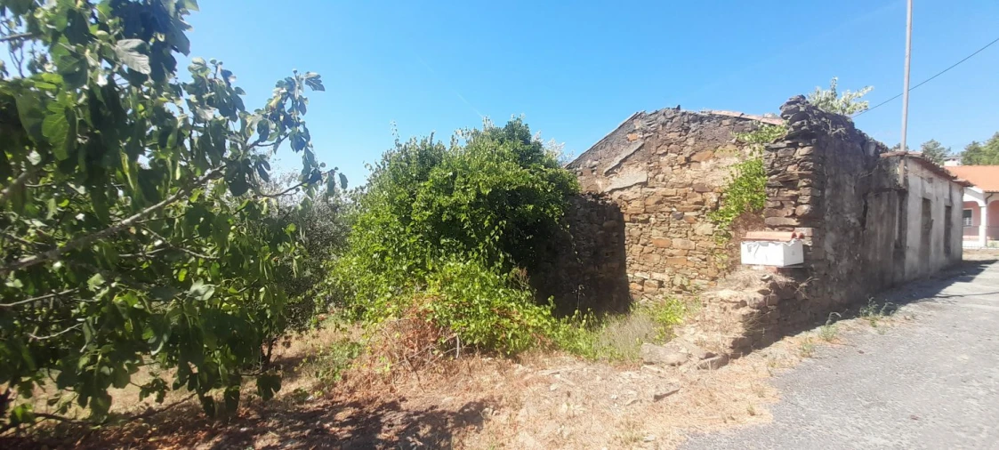 Moradia T3 para Venda em Mação, Penhascoso e Aboboreira Foto 15