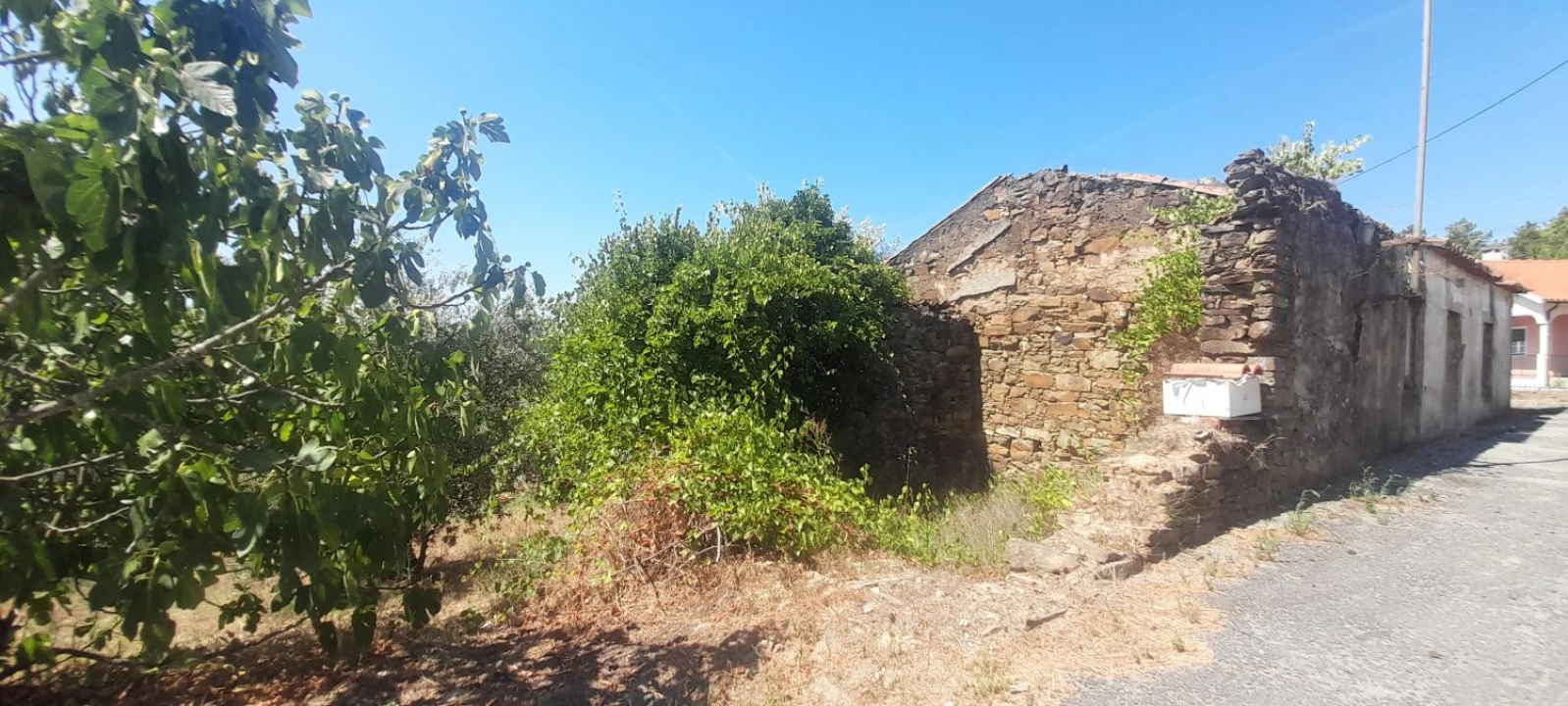 Moradia T3 para Venda em Mação, Penhascoso e Aboboreira Foto 15