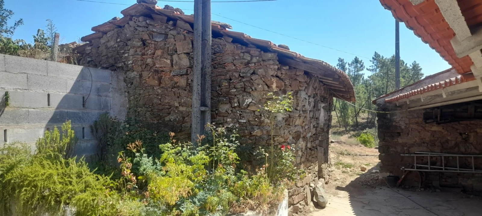 Moradia T3 para Venda em Mação, Penhascoso e Aboboreira Foto 6