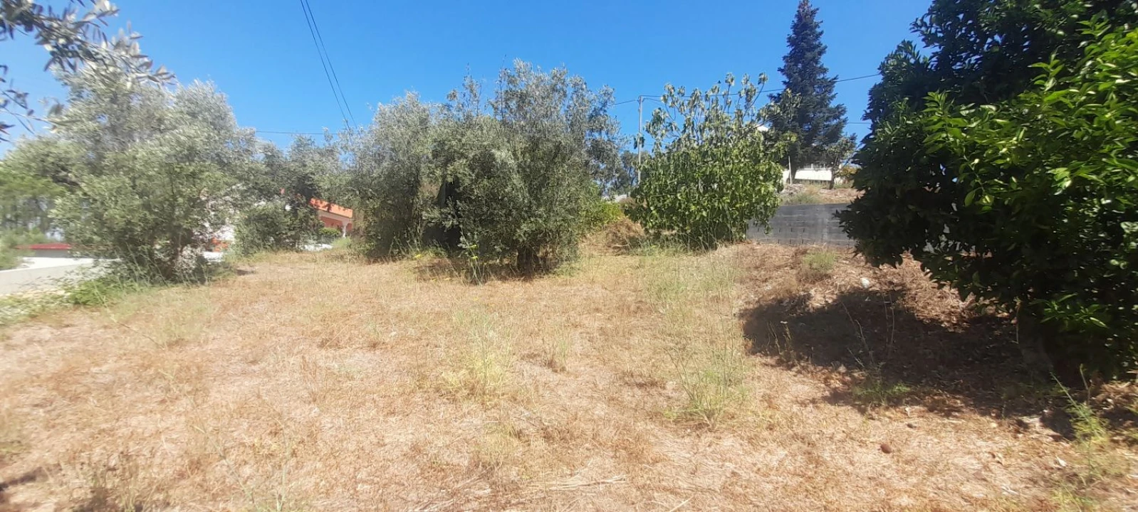 Moradia T3 para Venda em Mação, Penhascoso e Aboboreira Foto 19