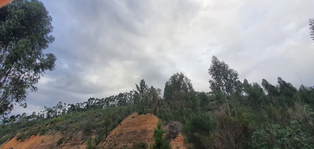 Terreno para Venda em Vila de Rei Foto 3