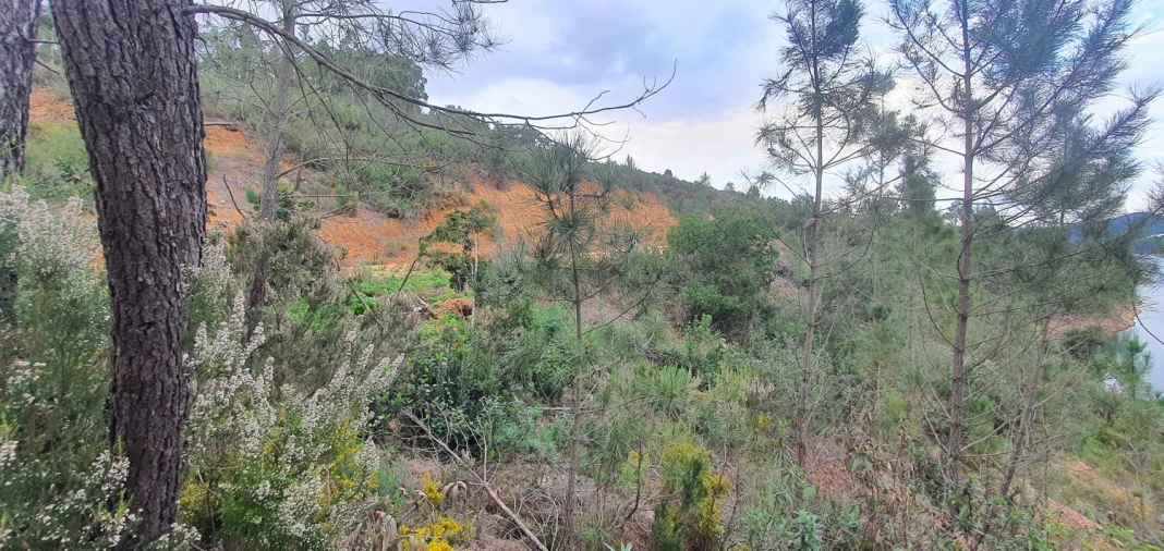 Terreno para Venda em Vila de Rei Foto 20