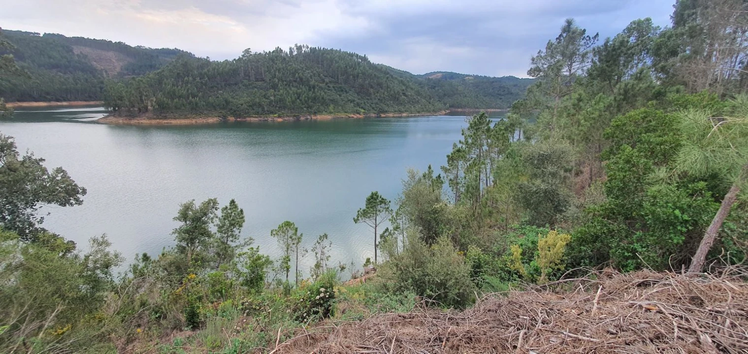 Terreno para Venda em Vila de Rei Foto 15