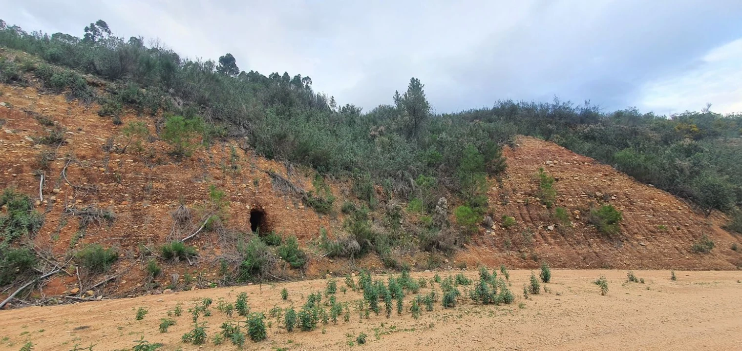 Terreno para Venda em Vila de Rei Foto 22